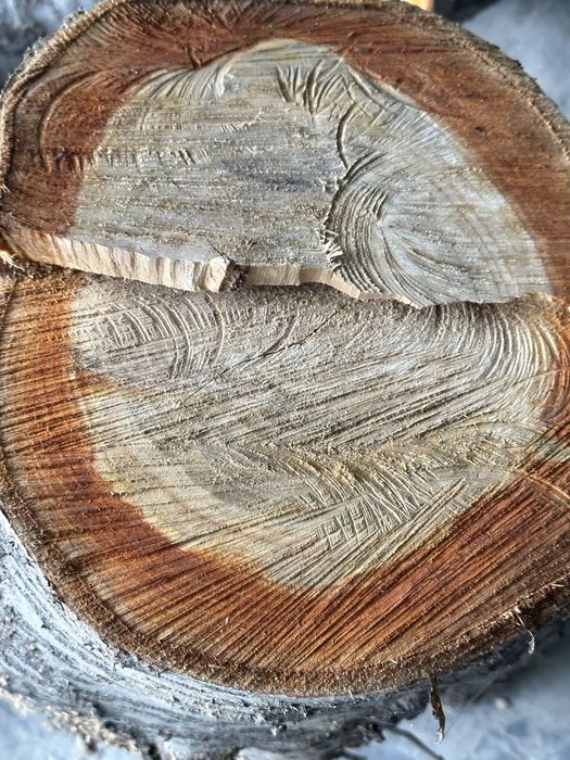 Dekaratsiya va narsalar yasash uchun mosbolgan