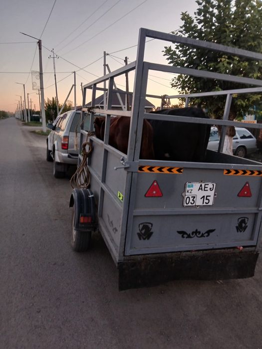 Скотовозка