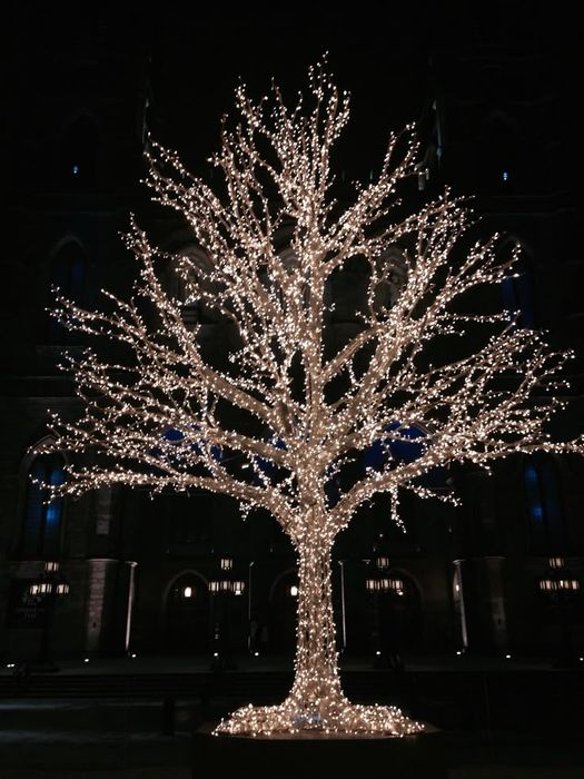 Украшение дома гирляндами