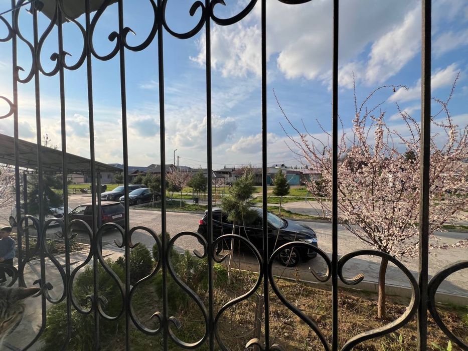 Yuqori Chirchiq Bardankol