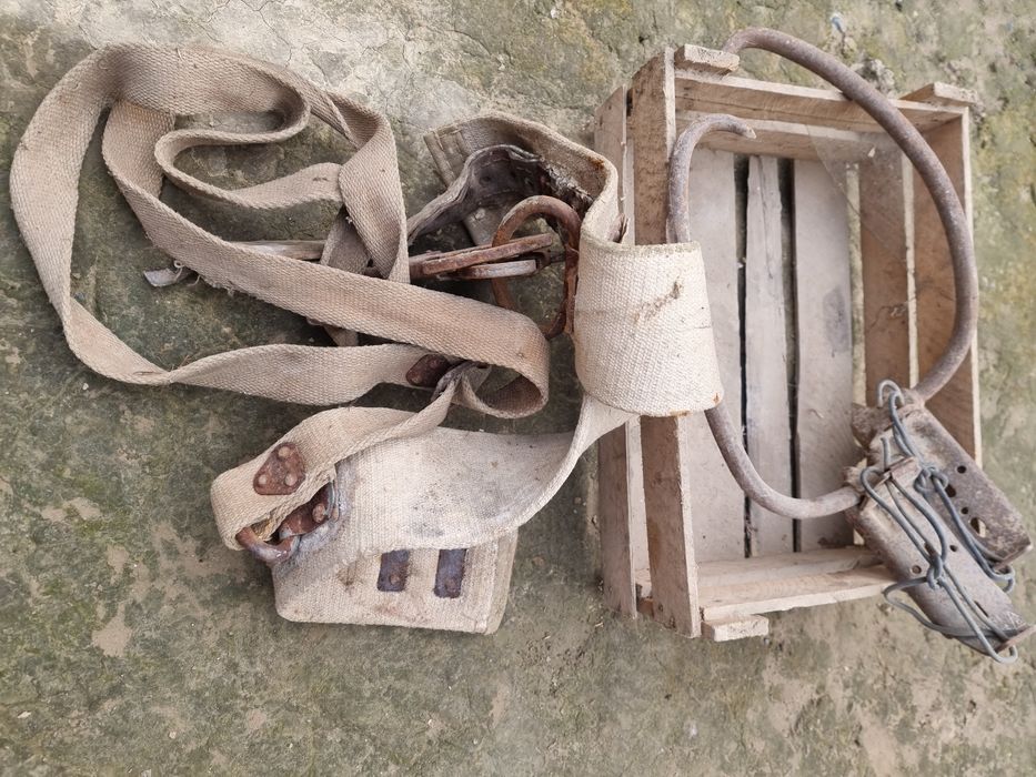 Ёг'оч столбага чикадигон