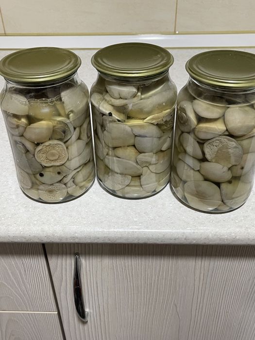 Мариновонные грибы