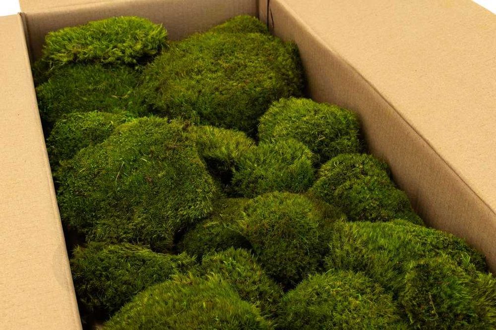 НОВО! Декоративен скандинавски топчест MOOD мъх-за картини или украса