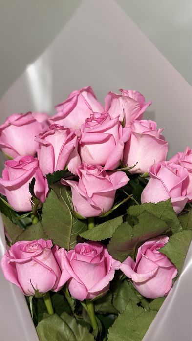 Цветы сегодняшные Розы