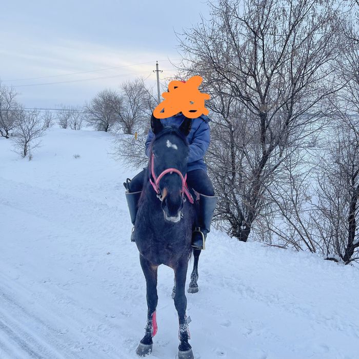 Кунан сатылады,,,