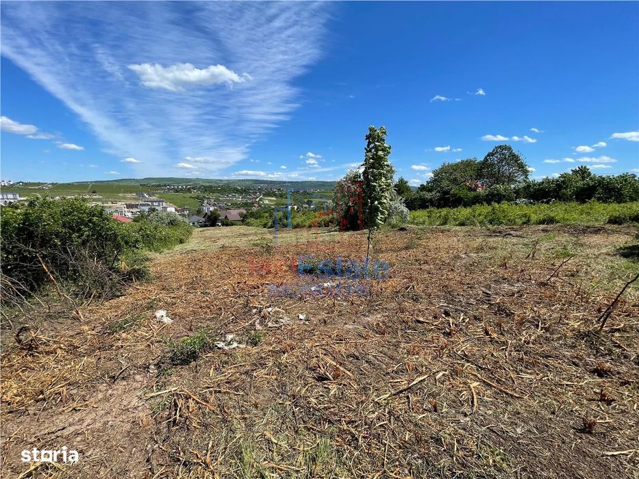 Ocazie! Visan TEREN 1616mp intravilan lot pt constructie casa