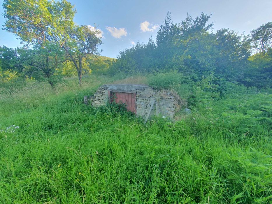 Teren - 16000 mp (parcele) si casa P+M - Baiceni, com. Cucuteni