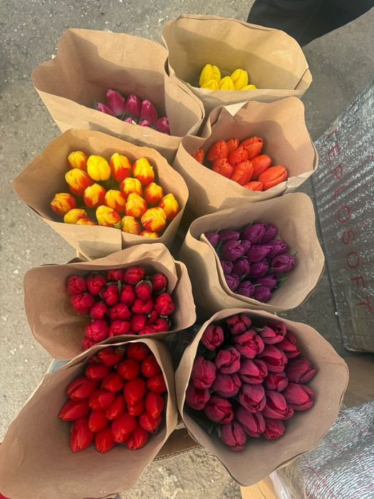 Тюльпаны оптом Алматы /Цветы Роза