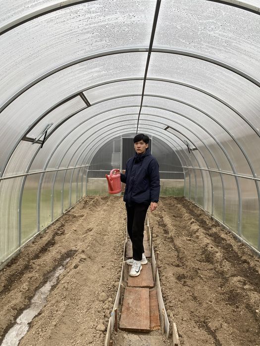 Срочно продам теплицу из поликорбаната