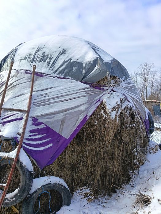 Văd  fân baloți și vrac amestecat cu lucerna