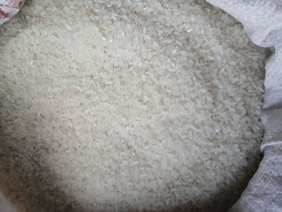 Хоразм гуручлари перечисления ва накдга гуруч guruch