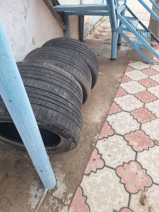 Балоны  трианжел 205, 60, 1