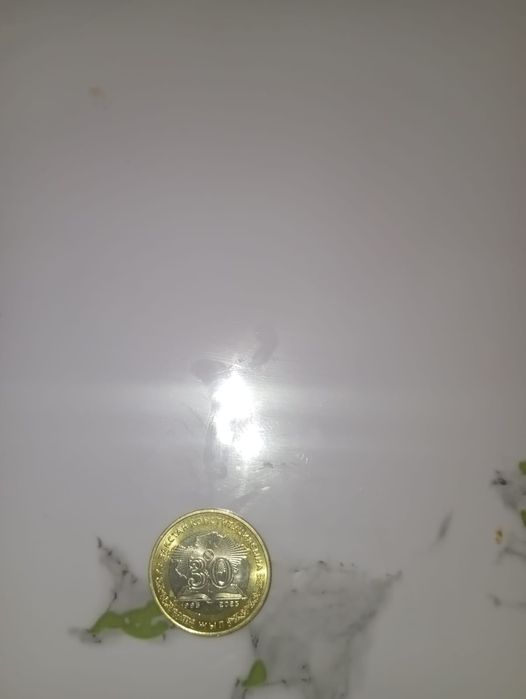 100тенге монеты из первой серии