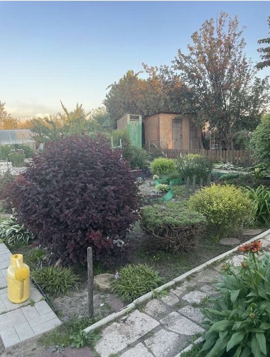 Дача 10 соток Локомотив