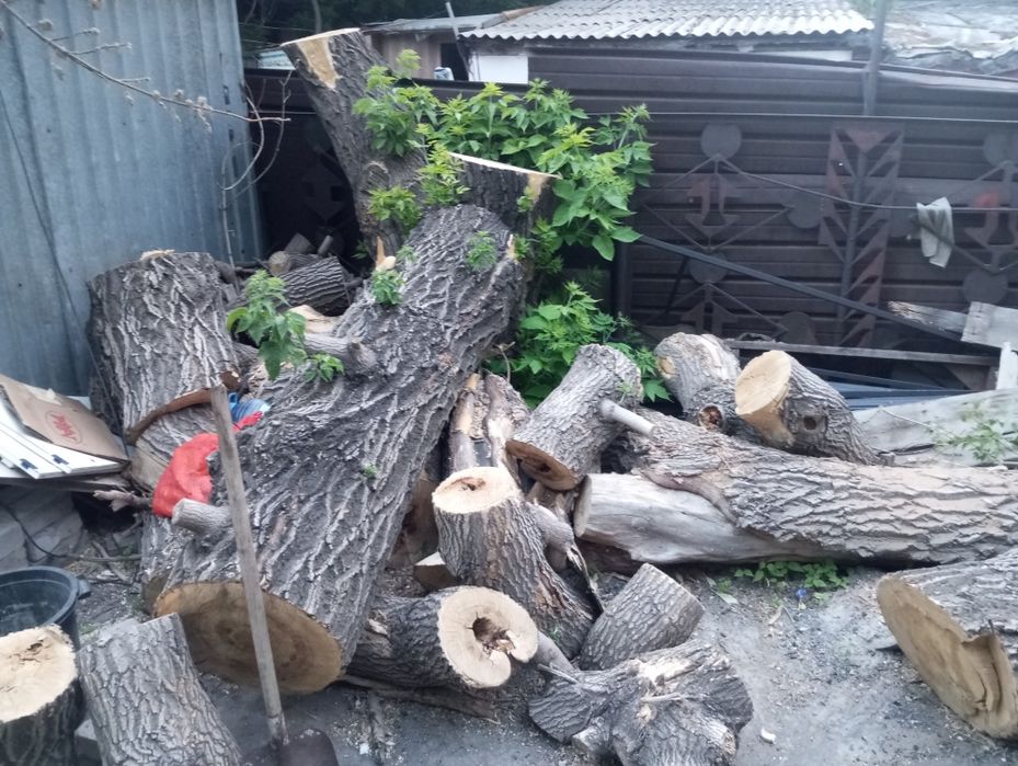 Отдам даром бесплатно