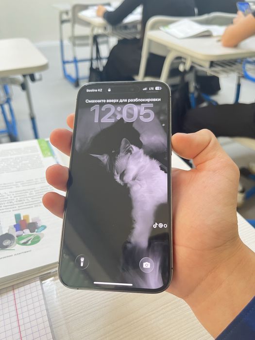 iPhone 14 Pro Max