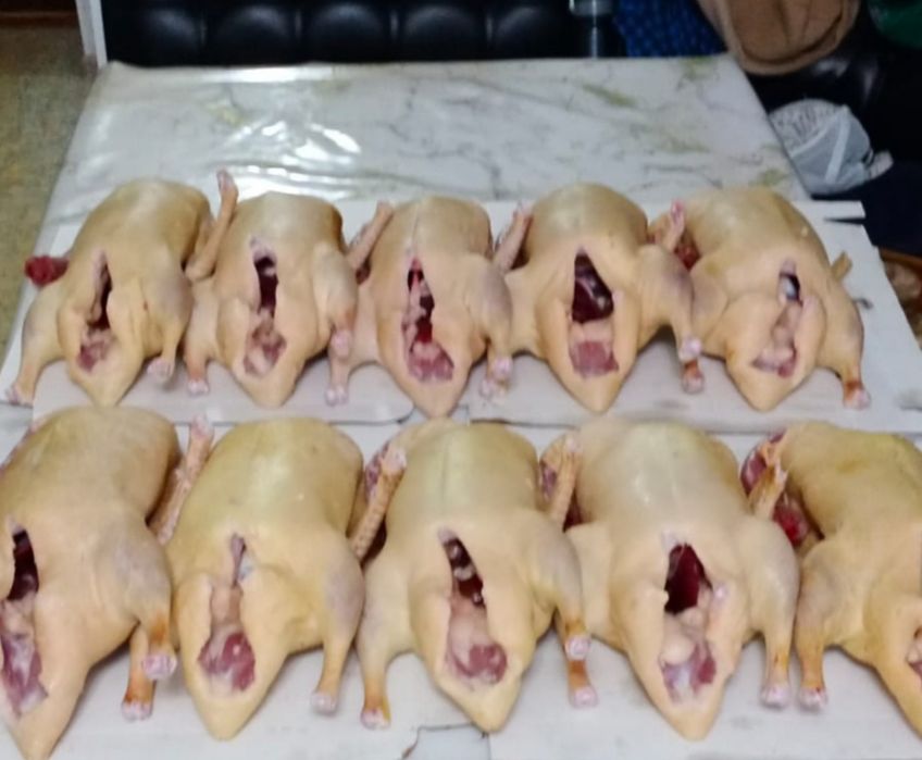 Мясо домашних уток. Тушки в свежем виде.