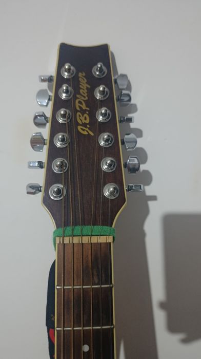 12 струналы электроакустическая