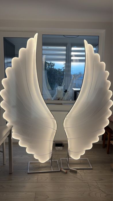 Aripi luminoase noi
