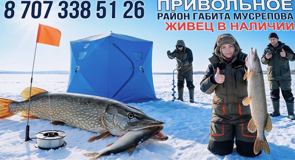 Живец на рыбалку  для ловли щуки