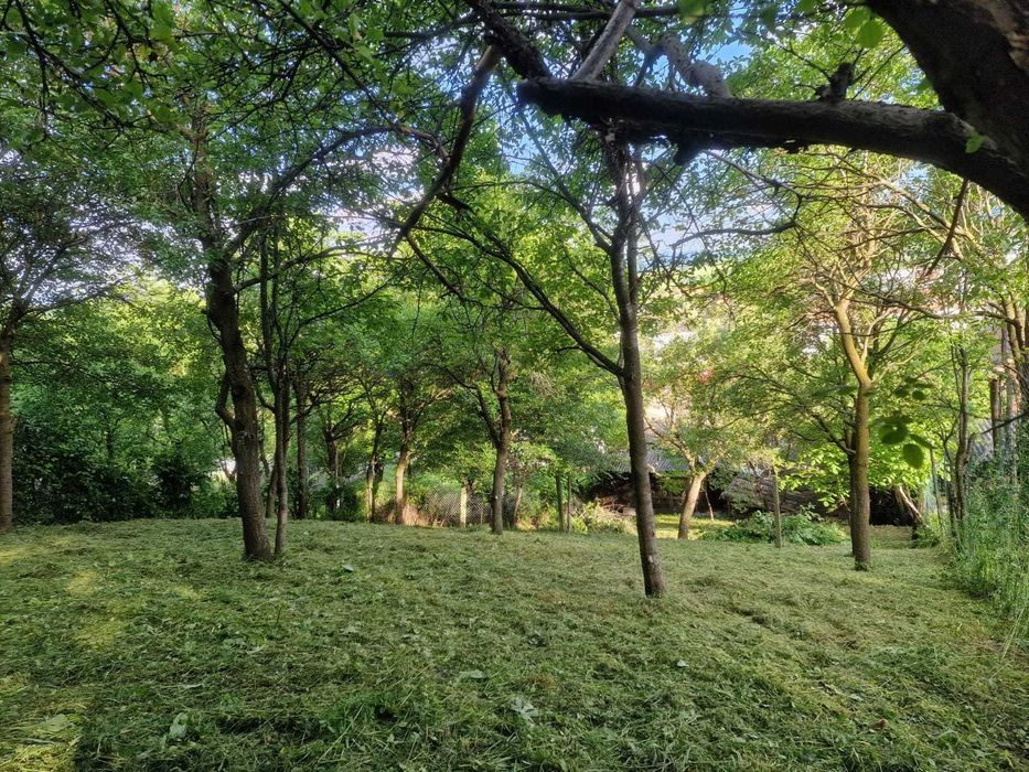 Vand in Cisnadie, apartament la casa in curte comuna