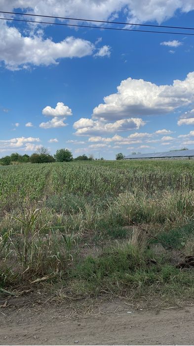 Cedez societate comerciala SRL agricultura sediu social sector 3