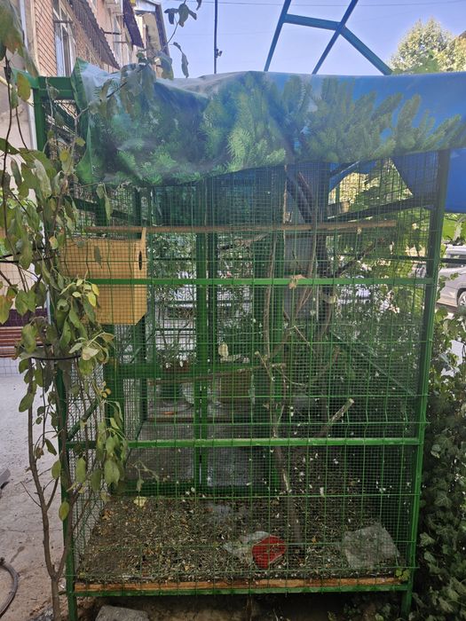 Большая клетка для птиц