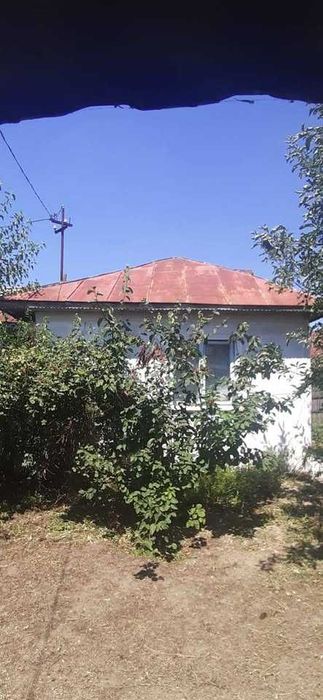 Mobilier gradina eco ieftin