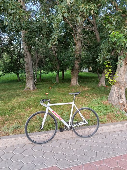 Продам/обменяю Ardently Arena Lite