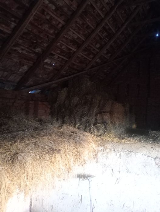 Vind baloți de fân