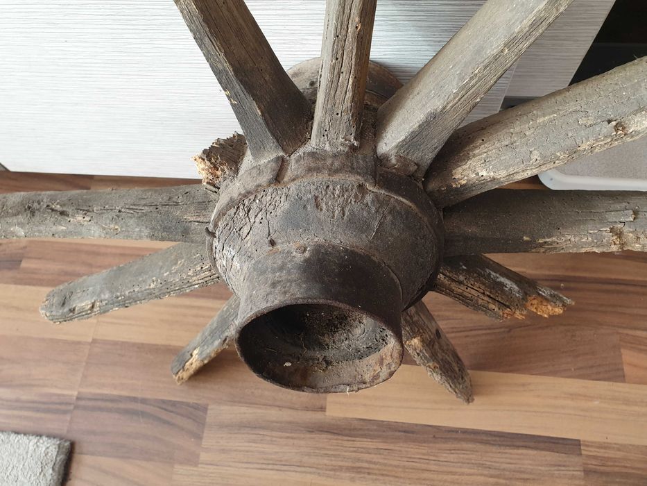 Естествено остаряло колело от волска каруца