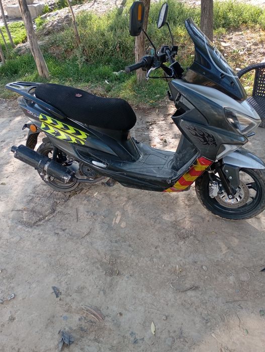 Тигер 2024 скутер харашо састайане