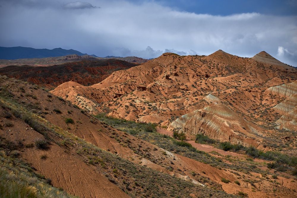 Картина  "природа Казахстана" холс