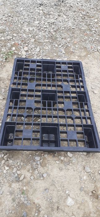 Paleti de plastic