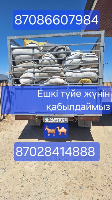 Түйе ешкі жүн қабылдаймыз