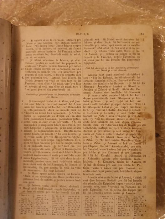 Biblia de la Iași 1874