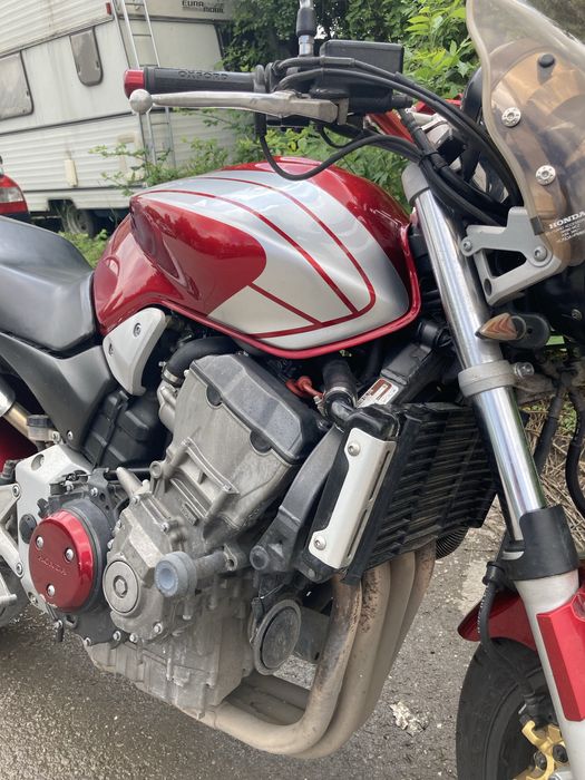 Honda hornet 919