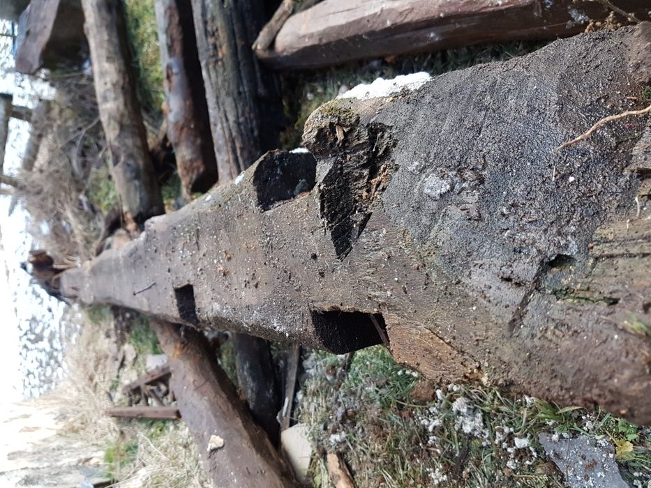 100 годишни греди