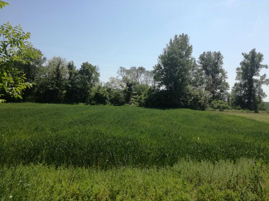 Teren intravilan, construibil, Vladimir-Andreesti, jud.Gorj 5390mp