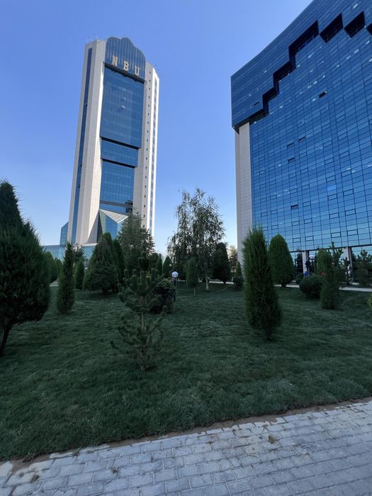 Gazo’n O’ptim cheklanmagan miqdorda birinchi qol