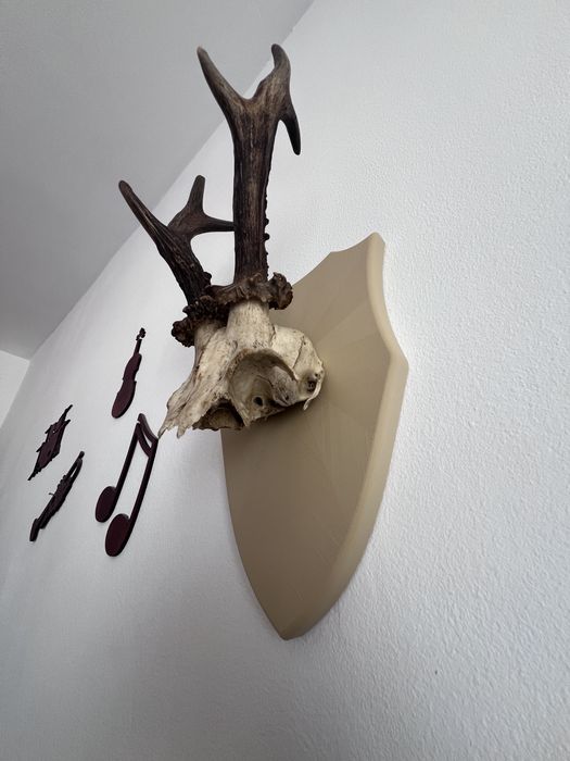 E.M.Gprint 3D cu filament(Fdm) sau rășină(Sla)