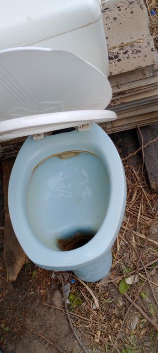Унитаз туалет бесплатно