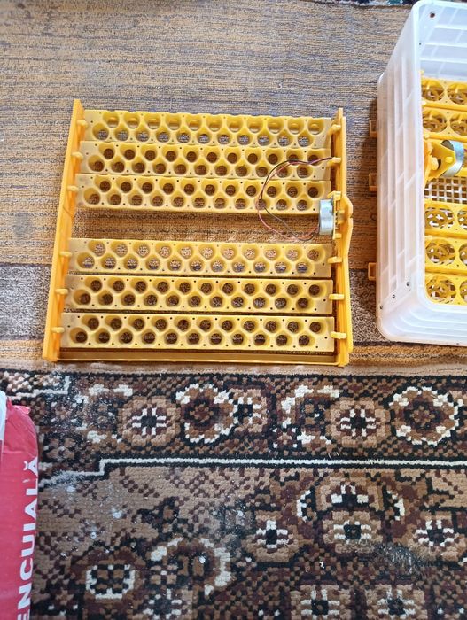 Vând clocitoare de găină sau rață și prepeliță 48 de oua de găină și