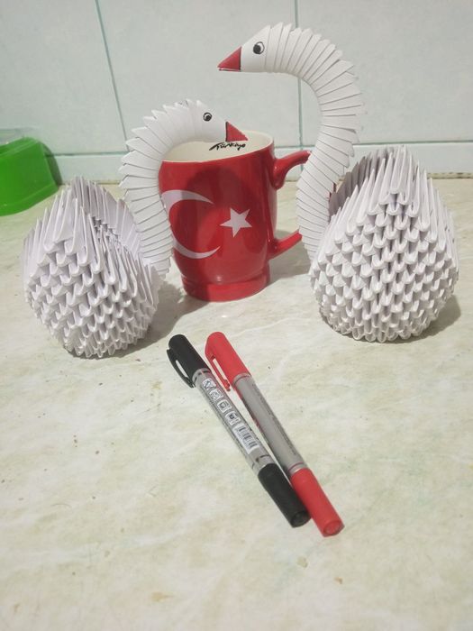 Oqqushlar sotiladi