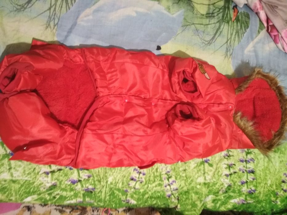 Комбинизон для сабаки