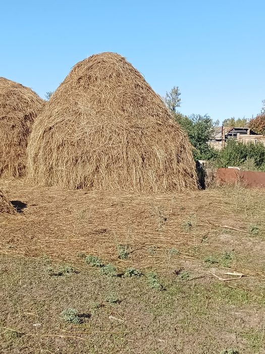 Продам стог или поменяю на скот.