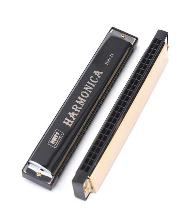 Профессиональная гармоника с 24 отверстиями