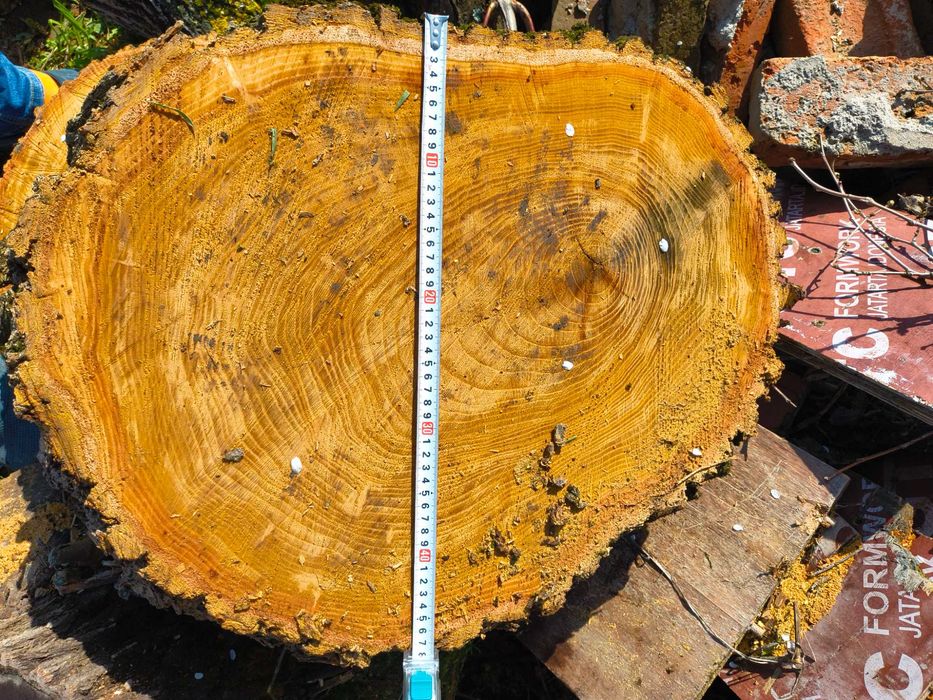 Дънери от черница