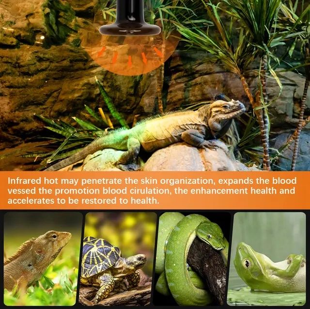 Керамическая лампа накаливания для обогрева рептилий,  птенцам и др.