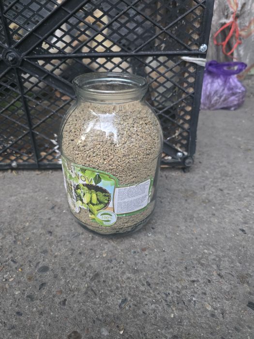 Утки почти месяц  продам по 2500